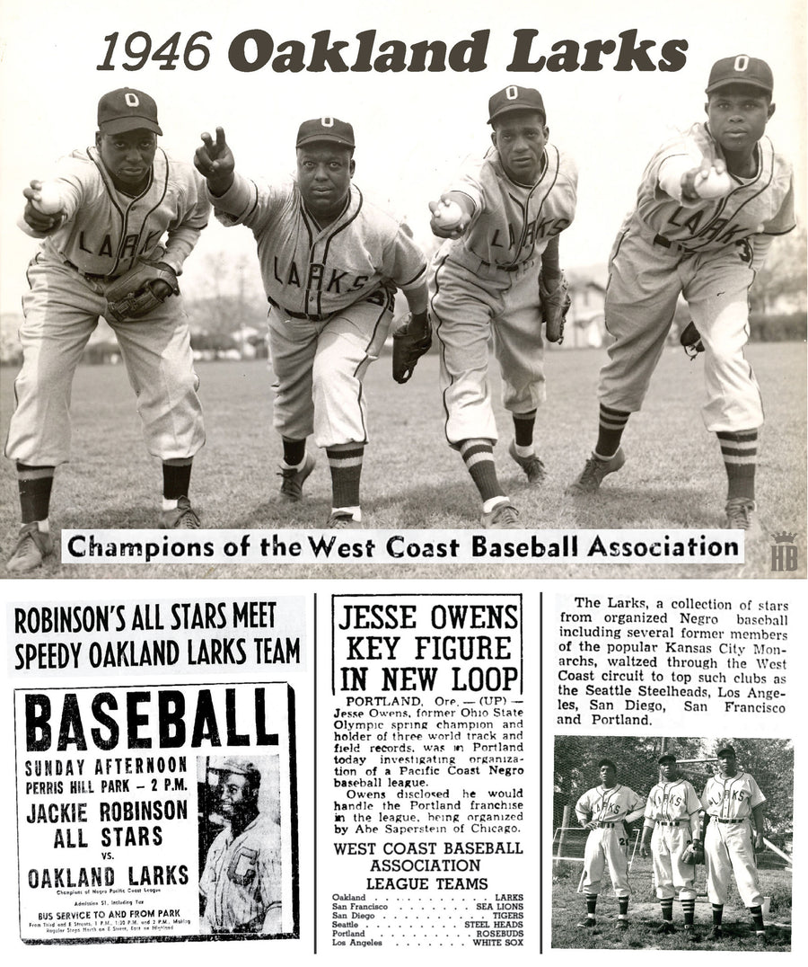 Oakland Larks Baseball history